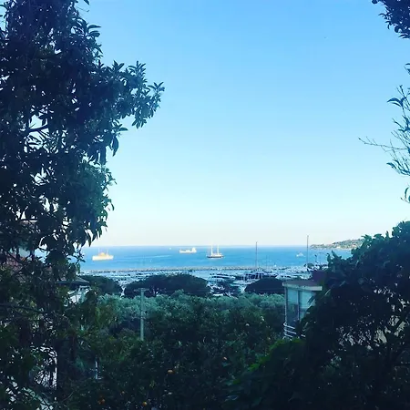 2 Pieces Terrasse Et Vue Mer A Sur Mer